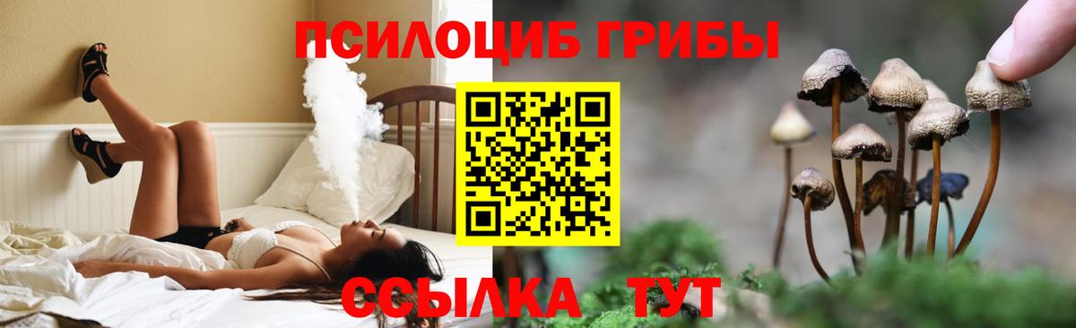 Псилоцибиновые грибы GOLDEN TEACHER  Вход с VPN  Псилоцибиновые грибы Cubensis  Сочи 